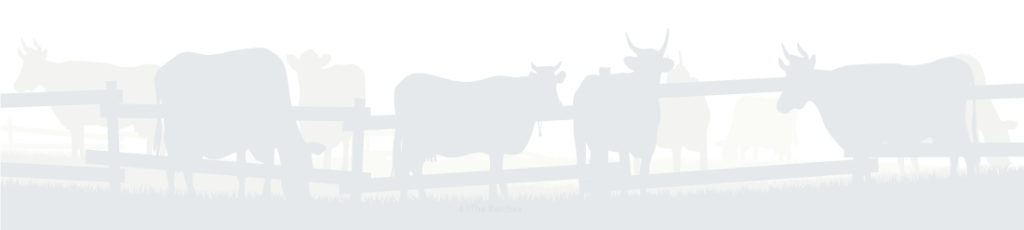 Cattle Background The Ranches