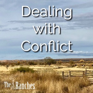 Dealing with Conflict