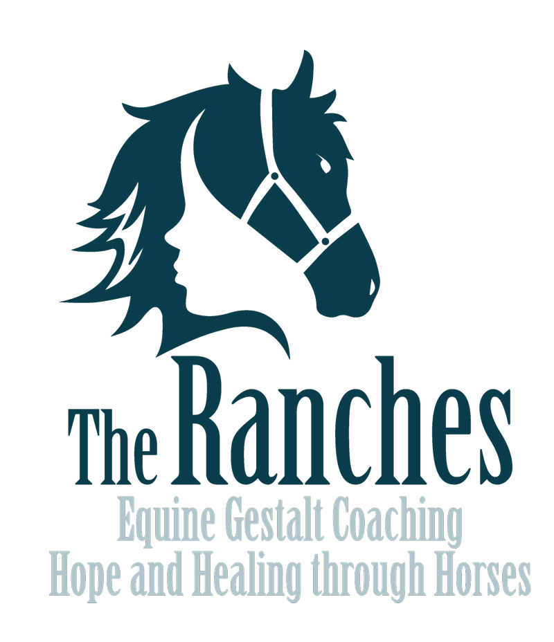 Equine Gestalt Coaching