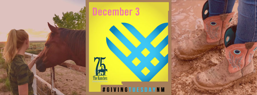 Giving Tuesday 2019 NM