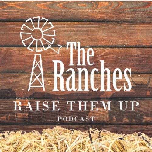 Raise Them Up Podcast