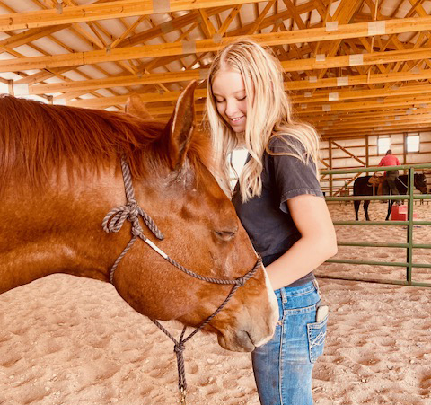 Equine Coaching