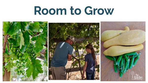 Giving the Kids the Room to Grow