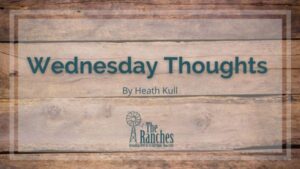Wednesday Thoughts